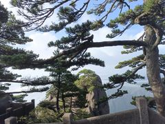 -黄山风景区
