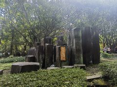 -海口火山口国家地质公园