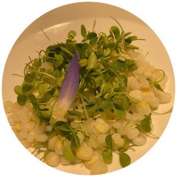 -儒宴孔府菜·宴会厅(丰体店)