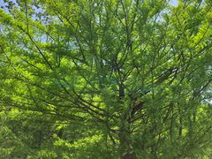 -南京金牛湖风景区