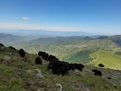 -灵山