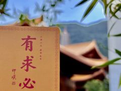 -深圳仙湖植物园