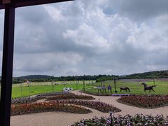 -济州森林小火车生态公园