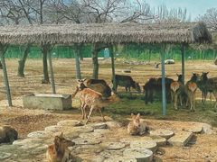 -西安秦岭野生动物园