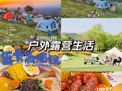-西青郊野公园