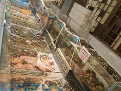 -东宴(温岭店)