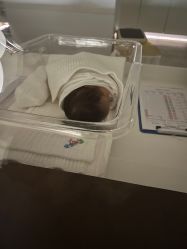 -爱贝蕊恩韩式月子会所(南山店)