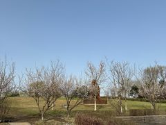 -莫子山公园