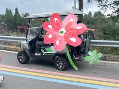 -玉苍山国家森林公园