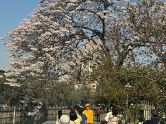 -成都市活水公园