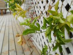 -娜娜度假小旅馆