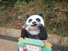 -石排湾郊野公园