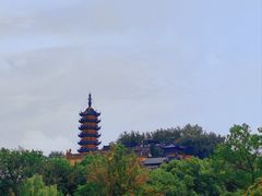 -日照海滨国家森林公园