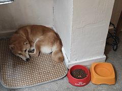 -三目仓咖啡(贤南路店)
