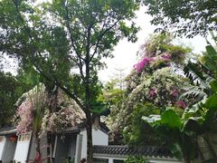 -深圳国际园林花卉博览园