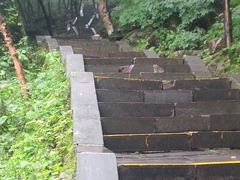 -洛阳白云山景区