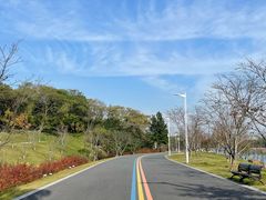 -羊山湖公园