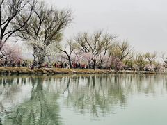 -颐和园
