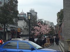 -王阿姨文昌油赞子(府桥街店)