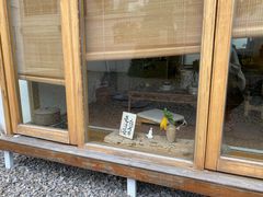 -东方艺术博物馆