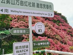 -木兰云雾山