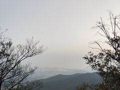 -惠山国家森林公园