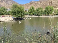 -新疆天山野生动物园