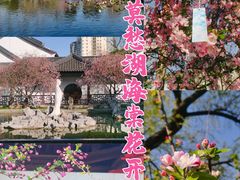 -莫愁湖公园