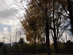 -玲珑塔公园