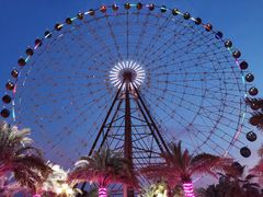 -三亚海昌梦幻海洋不夜城