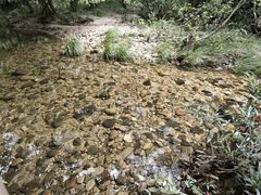 -海南热带雨林国家公园吊罗山景区