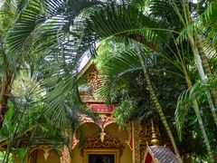 -西双版纳勐泐文化旅游区