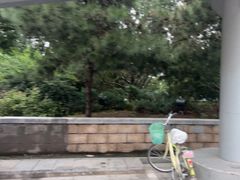 -滨河世纪广场公园