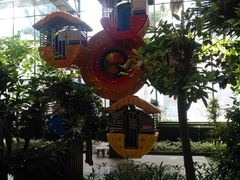 -南宫五洲植物乐园