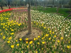 -公益图书馆(江南大学店)