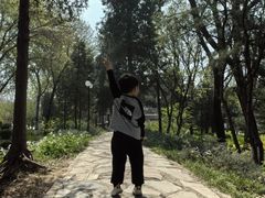 -黄村公园