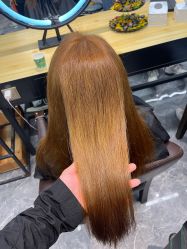 -藤野造型