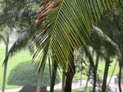 -海南清水湾莱佛士酒店