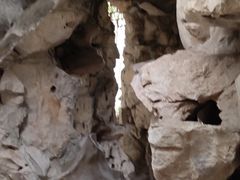 -秋霞圃