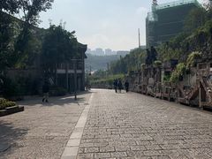 -大渡口区义渡公园