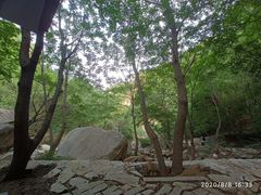 -黑龙潭风景区