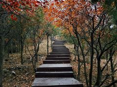 -北京十三陵国家森林公园蟒山景区