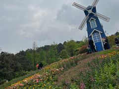 -铁山坪森林公园