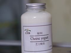 芝士酸奶-正飞鲜奶(公园北街店)