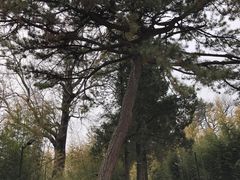 -红螺寺