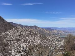 -北京鹫峰国家森林公园