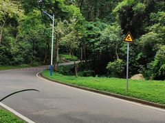 -火炉山森林公园