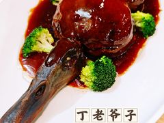 -丁老爷子苏香圆