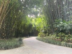 -望江楼公园