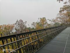 -梅峰山地公园